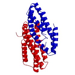Image of CATH 3v5z