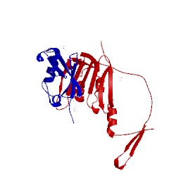 Image of CATH 3v60