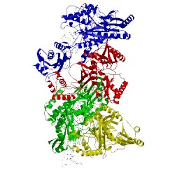 Image of CATH 3v6d