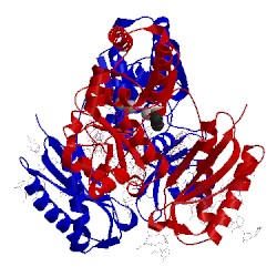 Image of CATH 3v6h