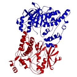 Image of CATH 3v6r