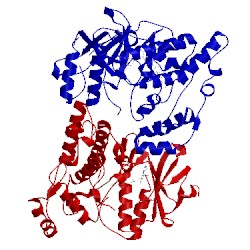 Image of CATH 3v6s