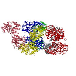 Image of CATH 3v83
