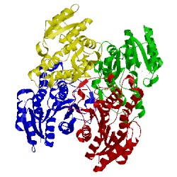 Image of CATH 3v8b