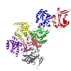 Image of CATH 3v8e