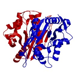 Image of CATH 3v8i