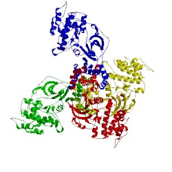 Image of CATH 3v8s