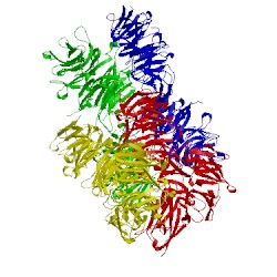 Image of CATH 3v9f
