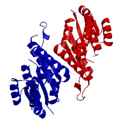 Image of CATH 3v9p