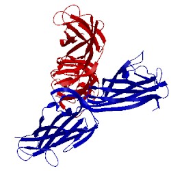 Image of CATH 3vac