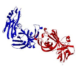Image of CATH 3vae