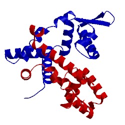 Image of CATH 3vb2