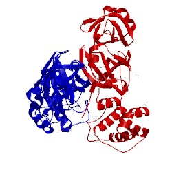 Image of CATH 3vb5