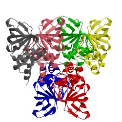 Image of CATH 3vba