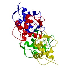Image of CATH 3vbg
