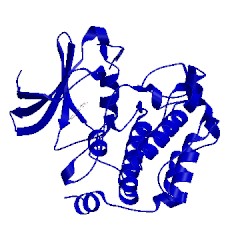 Image of CATH 3vbx