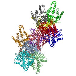 Image of CATH 3vc1