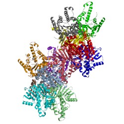 Image of CATH 3vc2