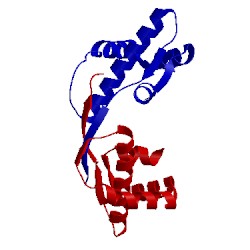 Image of CATH 3vcb