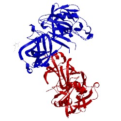 Image of CATH 3vcm