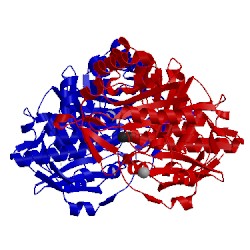 Image of CATH 3vcn