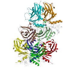 Image of CATH 3vd0