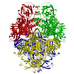 Image of CATH 3vdc