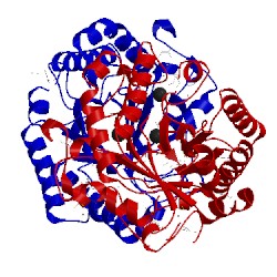 Image of CATH 3vdh
