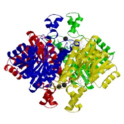 Image of CATH 3vdr