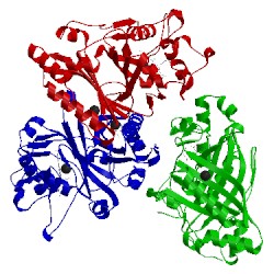 Image of CATH 3vec