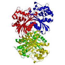 Image of CATH 3vff