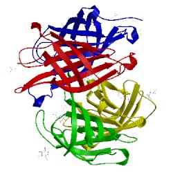 Image of CATH 3vhh