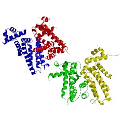 Image of CATH 3vib