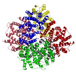 Image of CATH 3vjb