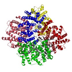 Image of CATH 3vjc