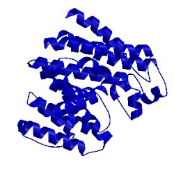Image of CATH 3vjd