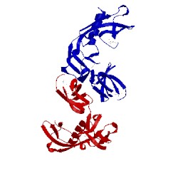 Image of CATH 3vjp