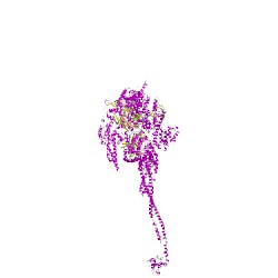 Image of CATH 3vkhA