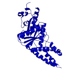 Image of CATH 3vlc