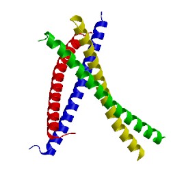 Image of CATH 3vmz