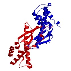 Image of CATH 3vnc