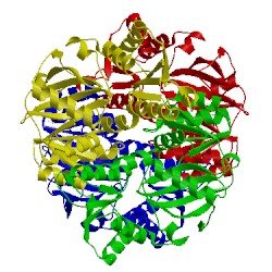 Image of CATH 3vpc