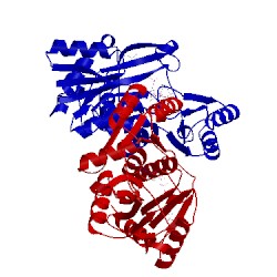 Image of CATH 3vpd