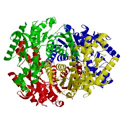 Image of CATH 3vph