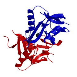 Image of CATH 3vpp