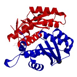 Image of CATH 3vqd