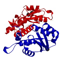 Image of CATH 3vqq