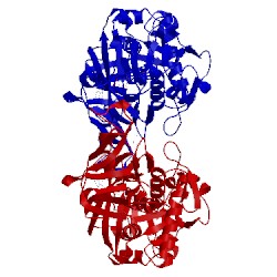 Image of CATH 3vqr