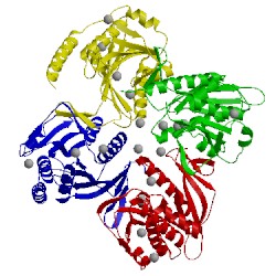 Image of CATH 3vr0