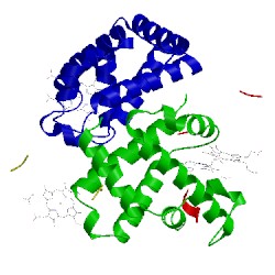 Image of CATH 3vre